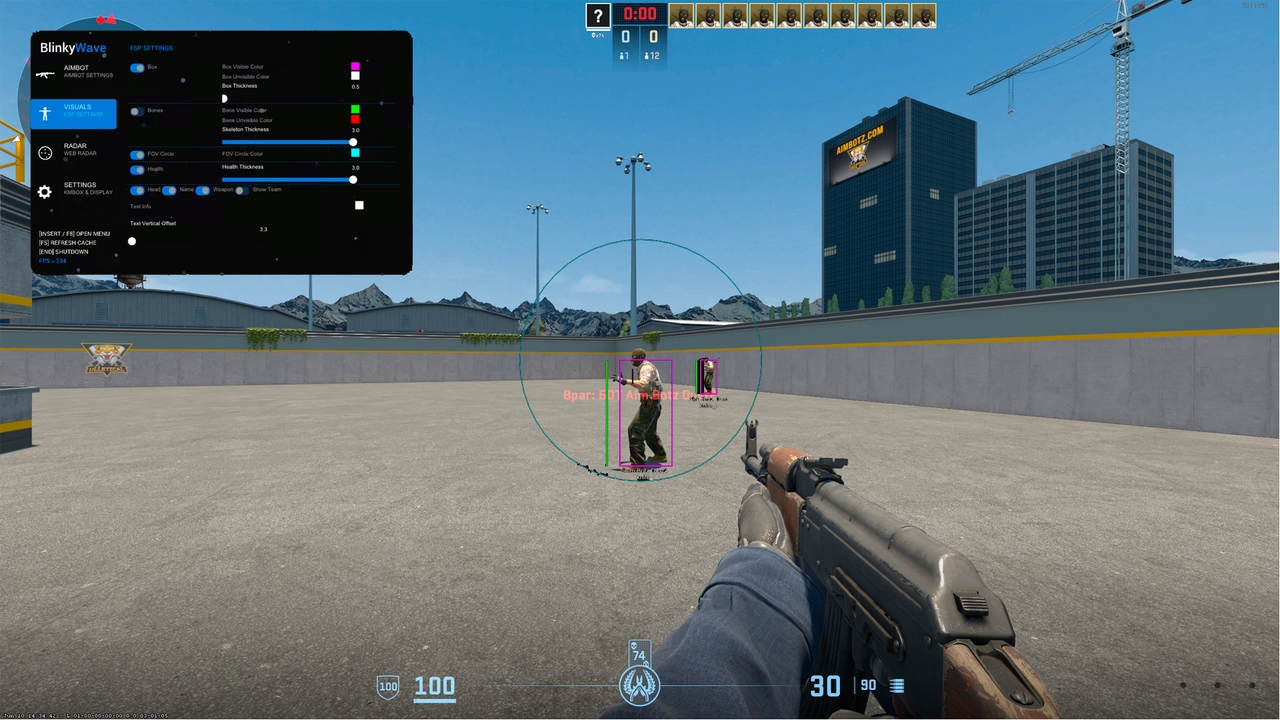 Blinky CS DMA 5